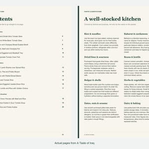 Actual contents and kitchen-notes pages from A Taste of Iraq.