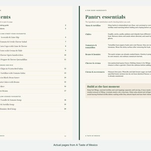 Actual contents and kitchen-notes pages from A Taste of Mexico.