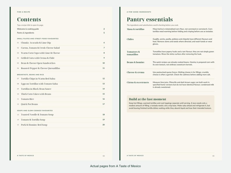 Actual contents and kitchen-notes pages from A Taste of Mexico.