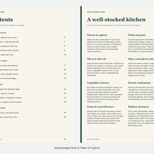 Actual contents and kitchen-notes pages from A Taste of Cyprus.