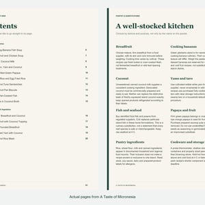 Actual contents and kitchen-notes pages from A Taste of Micronesia.