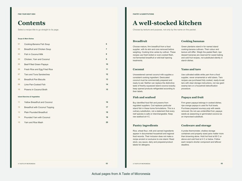 Actual contents and kitchen-notes pages from A Taste of Micronesia.