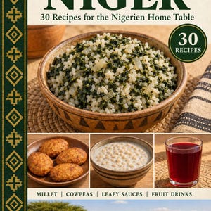 Actual cover of the A Taste of Niger PDF cookbook.