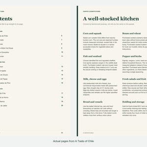 Actual contents and kitchen-notes pages from A Taste of Chile.