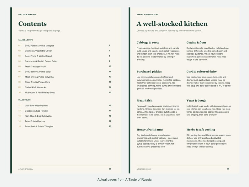 Actual contents and kitchen-notes pages from A Taste of Russia.