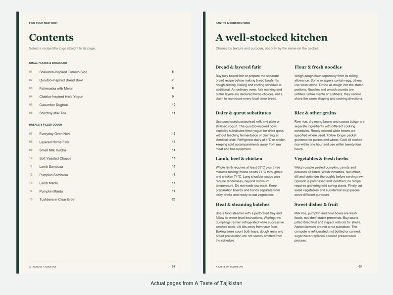 Actual contents and kitchen-notes pages from A Taste of Tajikistan.