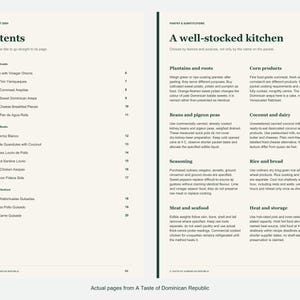 Actual contents and kitchen-notes pages from A Taste of Dominican Republic.