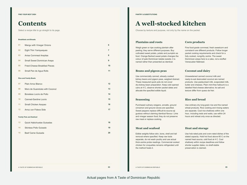 Actual contents and kitchen-notes pages from A Taste of Dominican Republic.