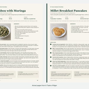 Two actual recipe pages from A Taste of Niger.