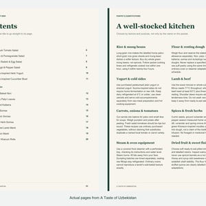 Actual contents and kitchen-notes pages from A Taste of Uzbekistan.