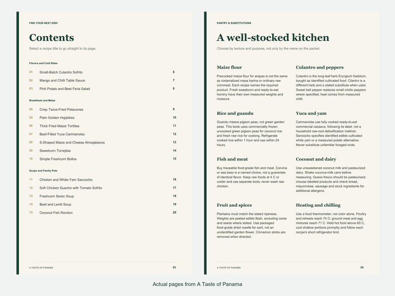 Actual contents and kitchen-notes pages from A Taste of Panama.