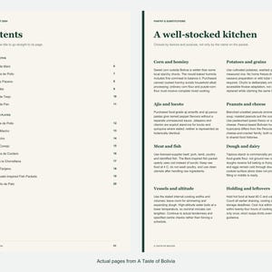 Actual contents and kitchen-notes pages from A Taste of Bolivia.