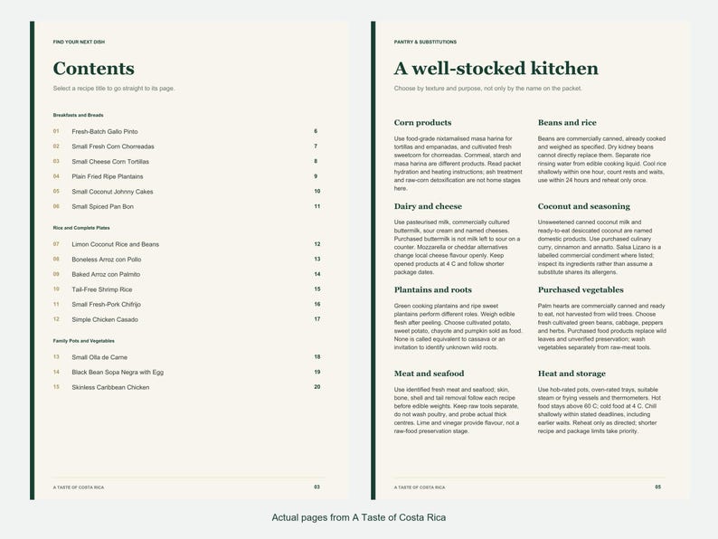 Actual contents and kitchen-notes pages from A Taste of Costa Rica.