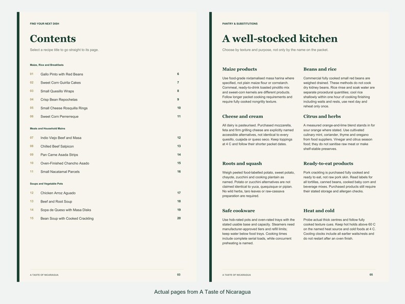 Actual contents and kitchen-notes pages from A Taste of Nicaragua.