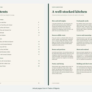 Actual contents and kitchen-notes pages from A Taste of Nigeria.
