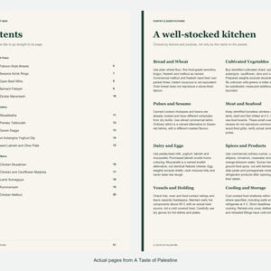 Actual contents and kitchen-notes pages from A Taste of Palestine.
