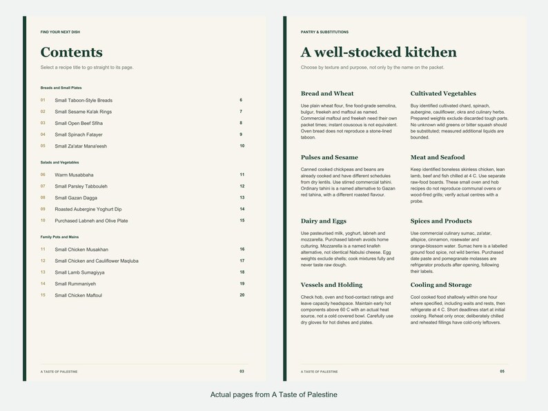 Actual contents and kitchen-notes pages from A Taste of Palestine.