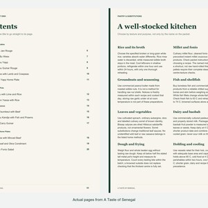 Actual contents and kitchen-notes pages from A Taste of Senegal.