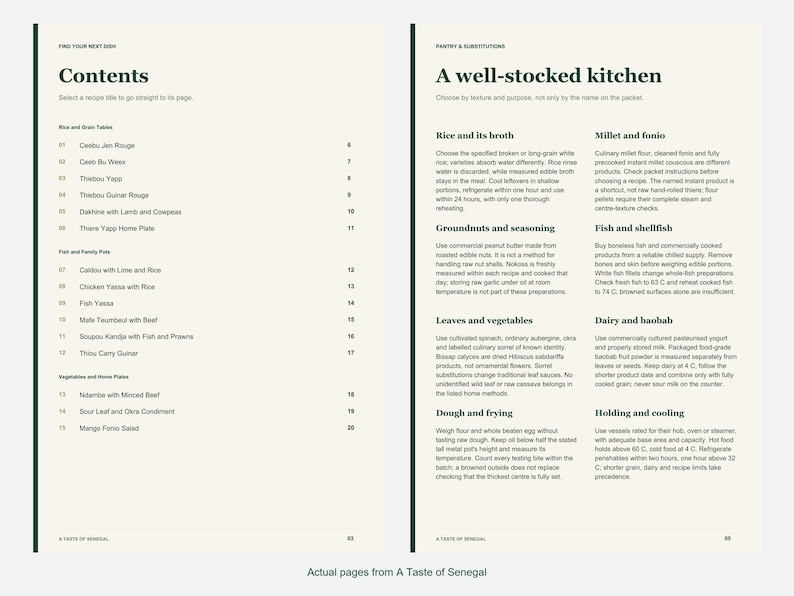 Actual contents and kitchen-notes pages from A Taste of Senegal.