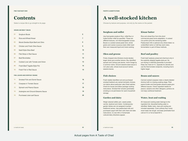 Actual contents and kitchen-notes pages from A Taste of Chad.