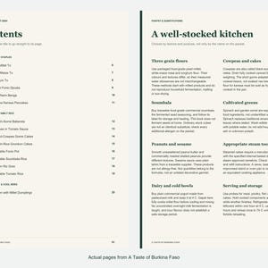 Actual contents and kitchen-notes pages from A Taste of Burkina Faso.