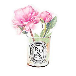 Vela Diptyque IMPRESIÓN DE ARTE DIGITAL Impresión de florero rosa rosa de pintura de acuarela Póster de ilustración de moda