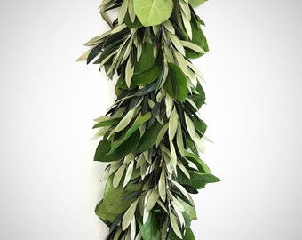 Fresh Olive and Salal Garland 6'