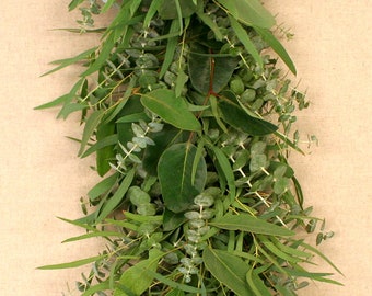 Mixed Eucalyptus Garland 6'