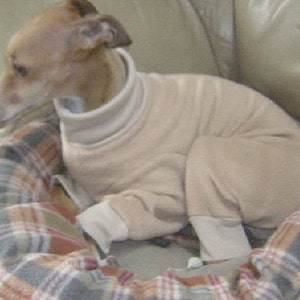 Puede incluir: Un perro pequeño de color canela con un suéter beige está sentado en una cama para perros a cuadros. El perro está mirando hacia un lado.