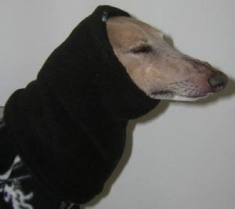 Medium DOG Size Fleece Dog Snood Whippet Saluki Basenji Etsy
