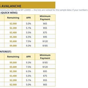 Student Loan Payoff Planner Spreadsheet — Snowball vs Avalanche, Extra Payment Tracker & Payment Log, Excel and Google Sheets image 5