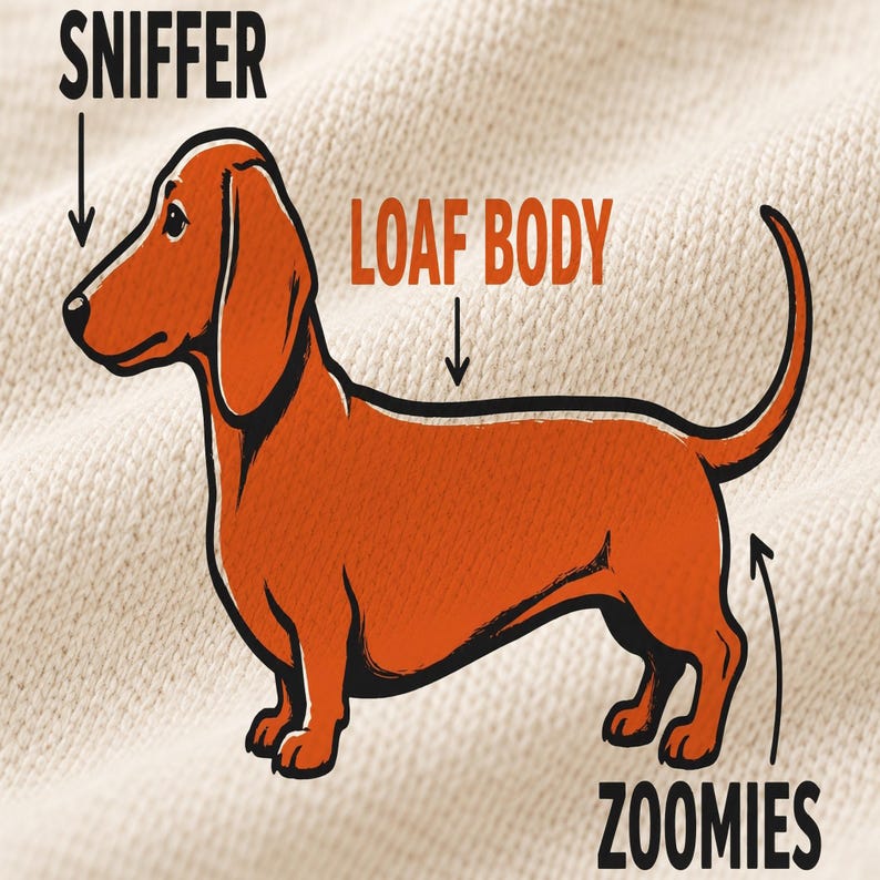 Dachshund Anatomy shirt — design close-up