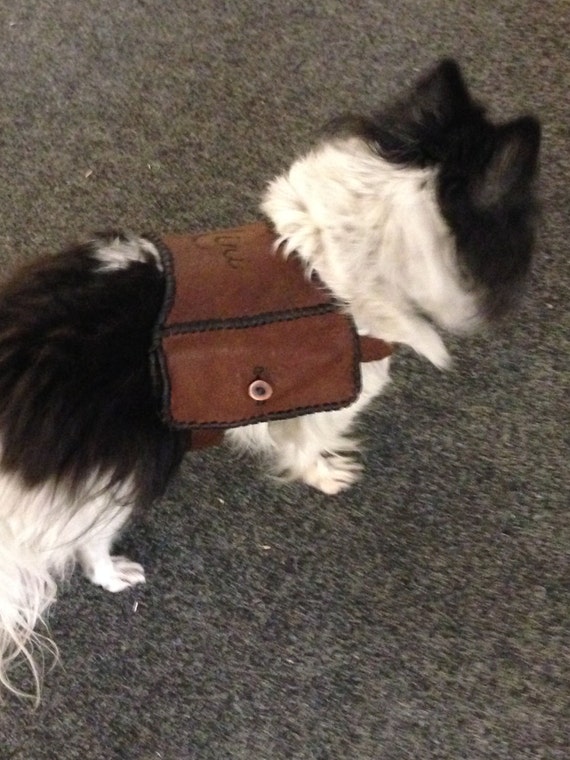 saddlebags for dogs