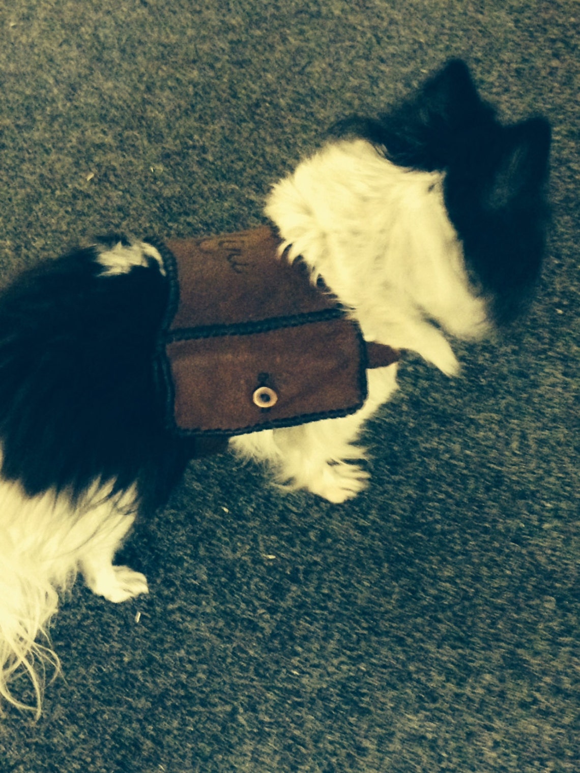 Dog Custom Saddlebags. Deer Hide. Etsy