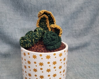 Crochet Snake Plant and Succulents Made from Reclaimed Yarn, Faux Plant Decor