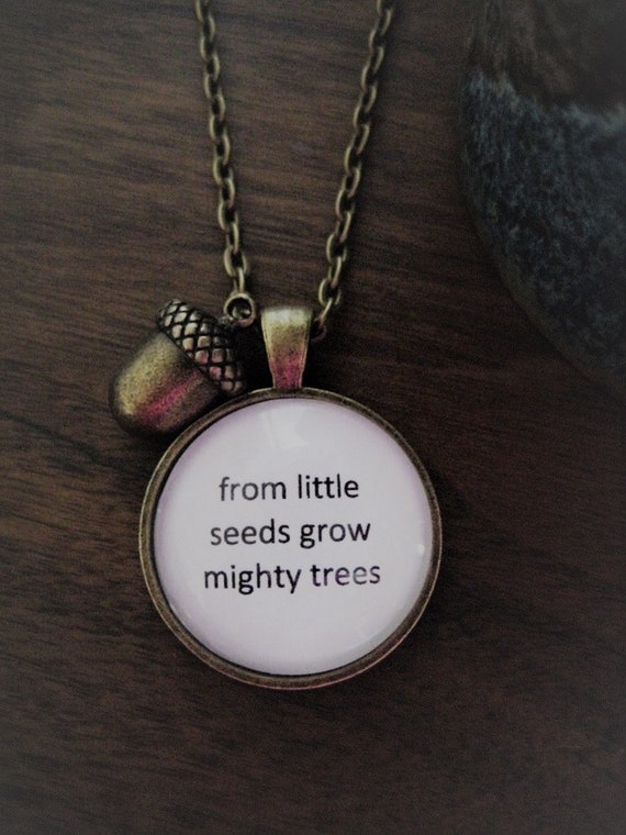 From Little Seeds Necklace Acorn Necklace Mighty Trees Etsy
