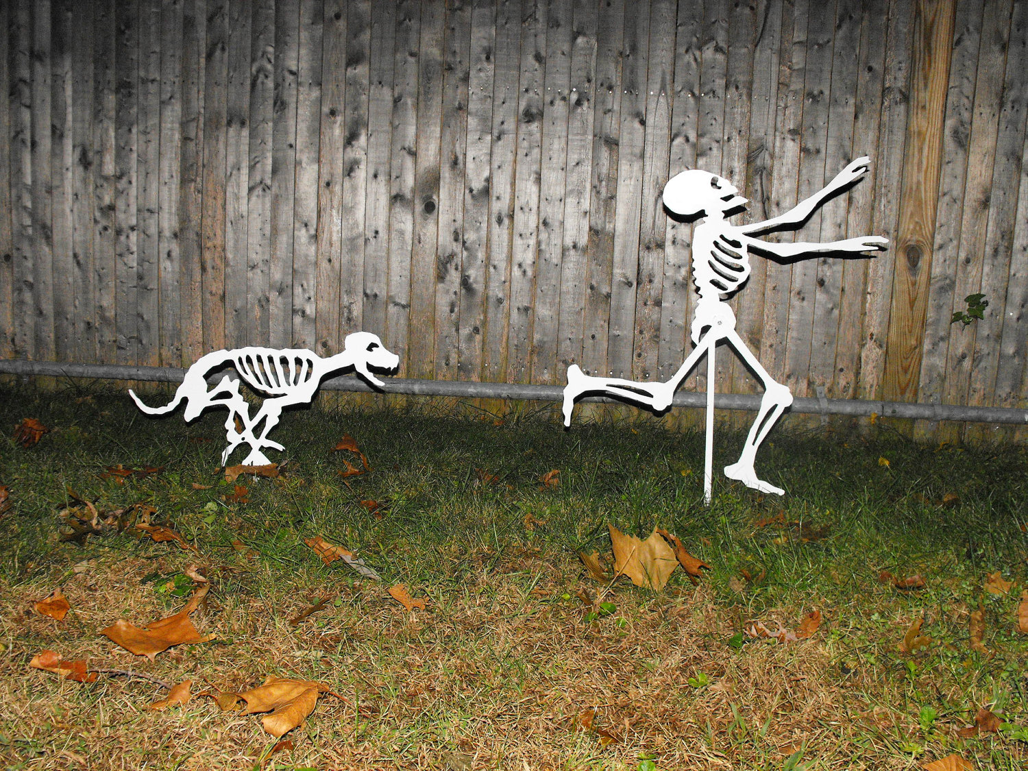 Halloween Yard Skeletons dog skeletons chasing person Etsy