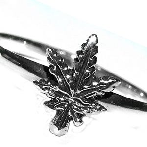 May include: A silver-colored ring featuring a detailed maple leaf design. The leaf is the focal point, with intricate veining and a three-dimensional appearance. The ring band is smooth and polished.