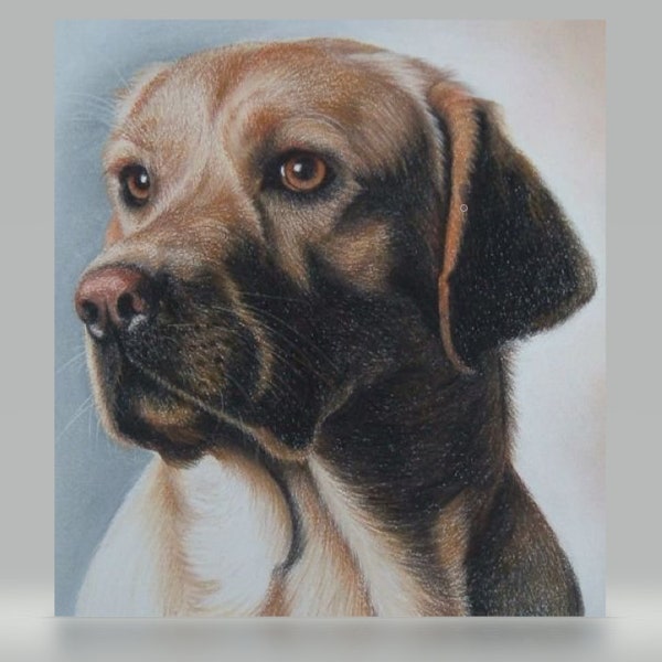 Animal in pastel from photo / pit drawing custom individual  pastel painting