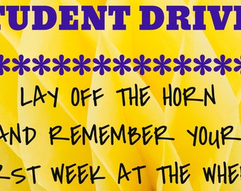 Bumper sticker - Student driver