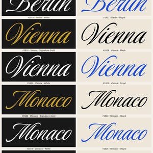 EURO CITIES — Luxurious Script Collection · 44 City Name Logo Designs · 11 Cities × 4 Colorways · Bundle #LUX-44 image 3