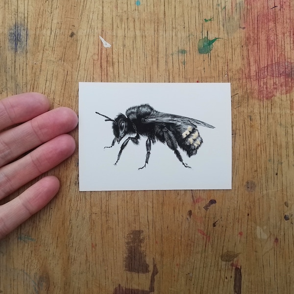 A7 Mini Bee Print hand embellished with metal leaf, from an original drawing by Louise Lily King