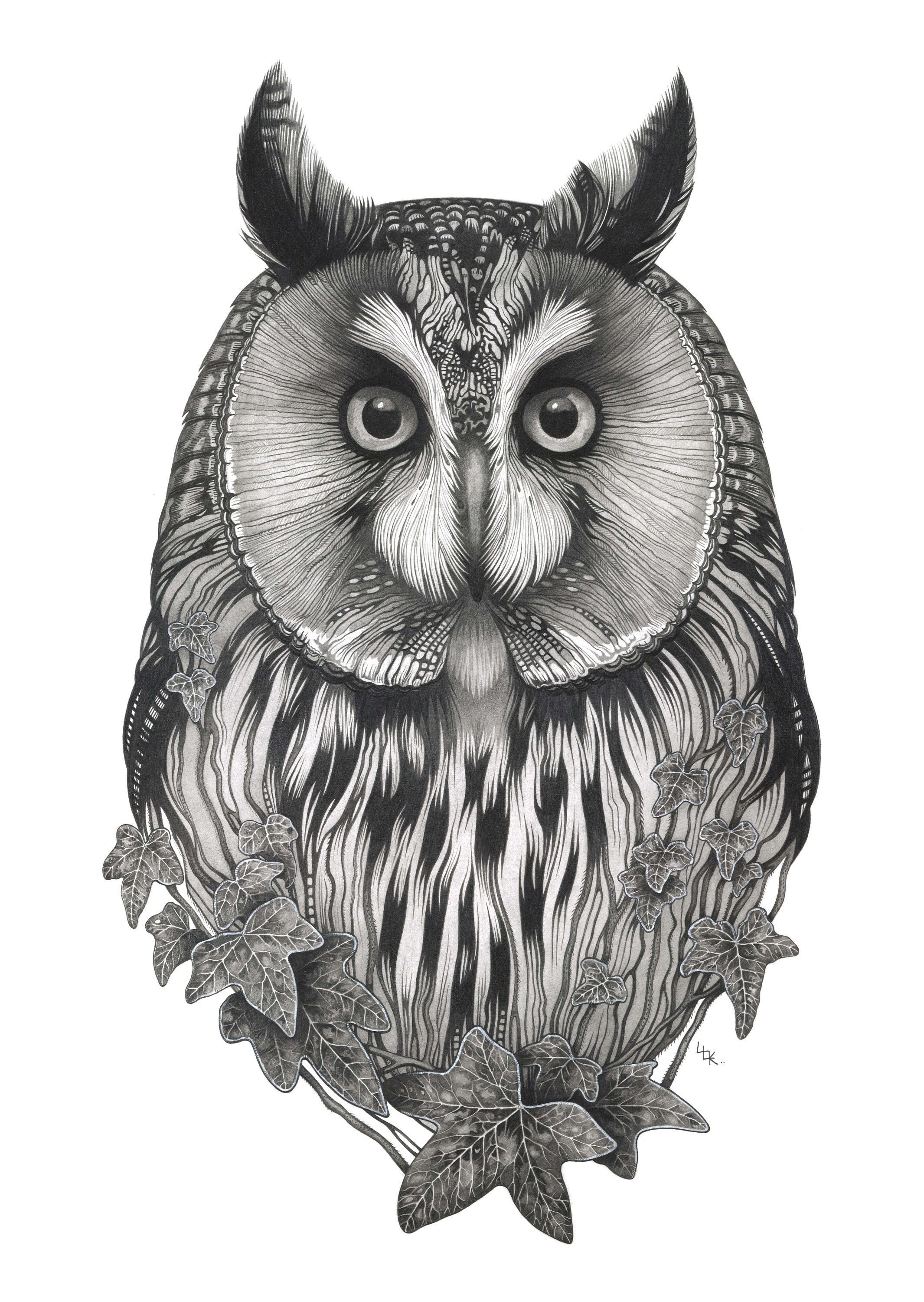 Owl and ivy A4 Giclee print 'The Owl of Cwm Cowlyd' by Louise Lily King