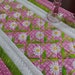 PDF Sew Fast Quilted Table Runner Pattern, the Fabric Addict - Etsy