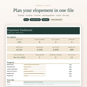 Elopement Planner Spreadsheet, Micro Wedding Planner, Small Wedding Guest List, Marriage License Checklist and Budget, Excel Google Sheets