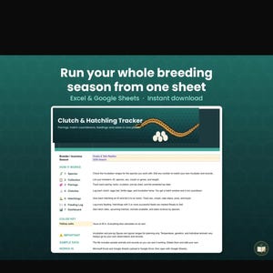 Breeder Spreadsheet | Ball Python Clutch Tracker | Hatch Countdown, Feeding Log & Sales | Excel  Google Sheets Template