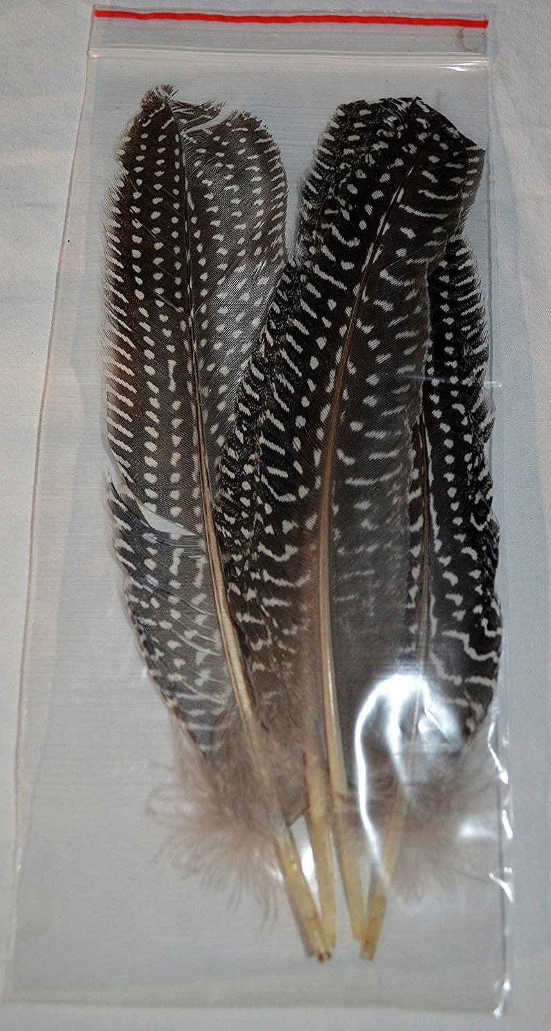 Fly Tying Feather Material Starter Kit by Muskoka Lifestyle Etsy