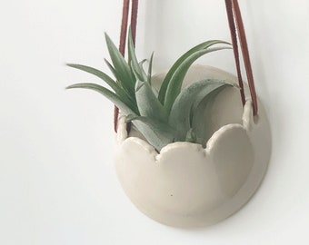 White Hanging Air Plant Holder, College Dorm Room Wall Decor, Indoor Plant Home Office Decor, Gardener Present, Master Bedroom Wall Decor