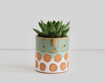 Mini succulent pot // textured //green + white spot