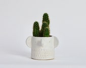 Mini elephant plant pot ring holder white